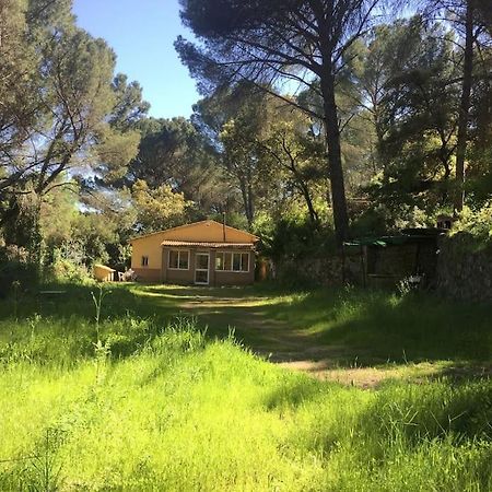 La Casita Del Rio Guadiato Villa Córdoba Exteriör bild