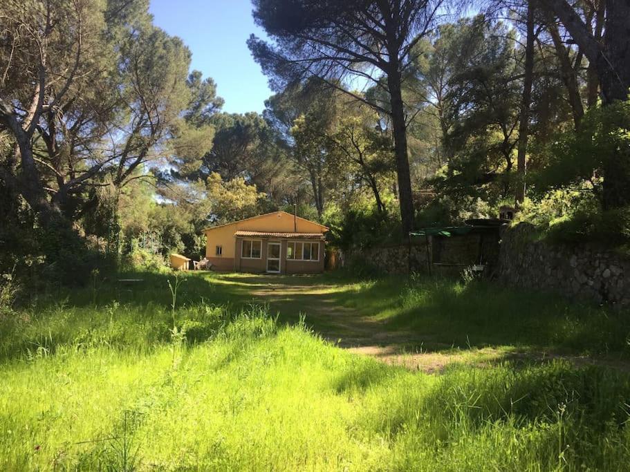La Casita Del Rio Guadiato Villa Córdoba Exteriör bild